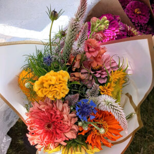 Boldly colored flower arrangements wrapped in white paper.