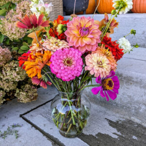 Bright pink, orange, red, and white flowers in a vase on a concrete sidewalk.