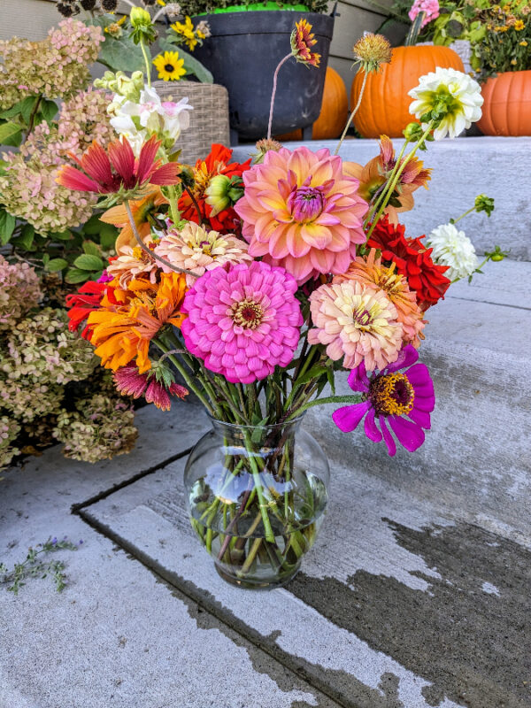 Bright pink, orange, red, and white flowers in a vase on a concrete sidewalk.