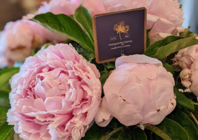 Pink peonies in a vase.