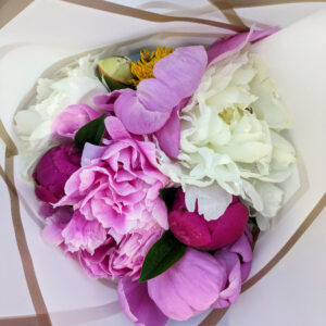 Pink and white peonies in a paper bundle