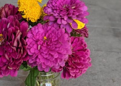 Deep pink and yellow flowers in a small glass mason jar.