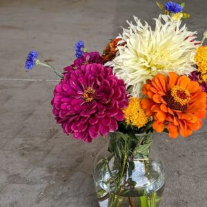 Deep pink, yellow, orange, white, and blue flowers in a small glass vase.