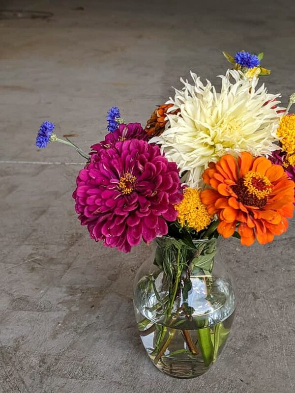 Deep pink, yellow, orange, white, and blue flowers in a small glass vase.