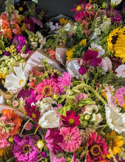 Multiple color floral bouquets wrapped in white paper and packed tightly in the backseat of a car.